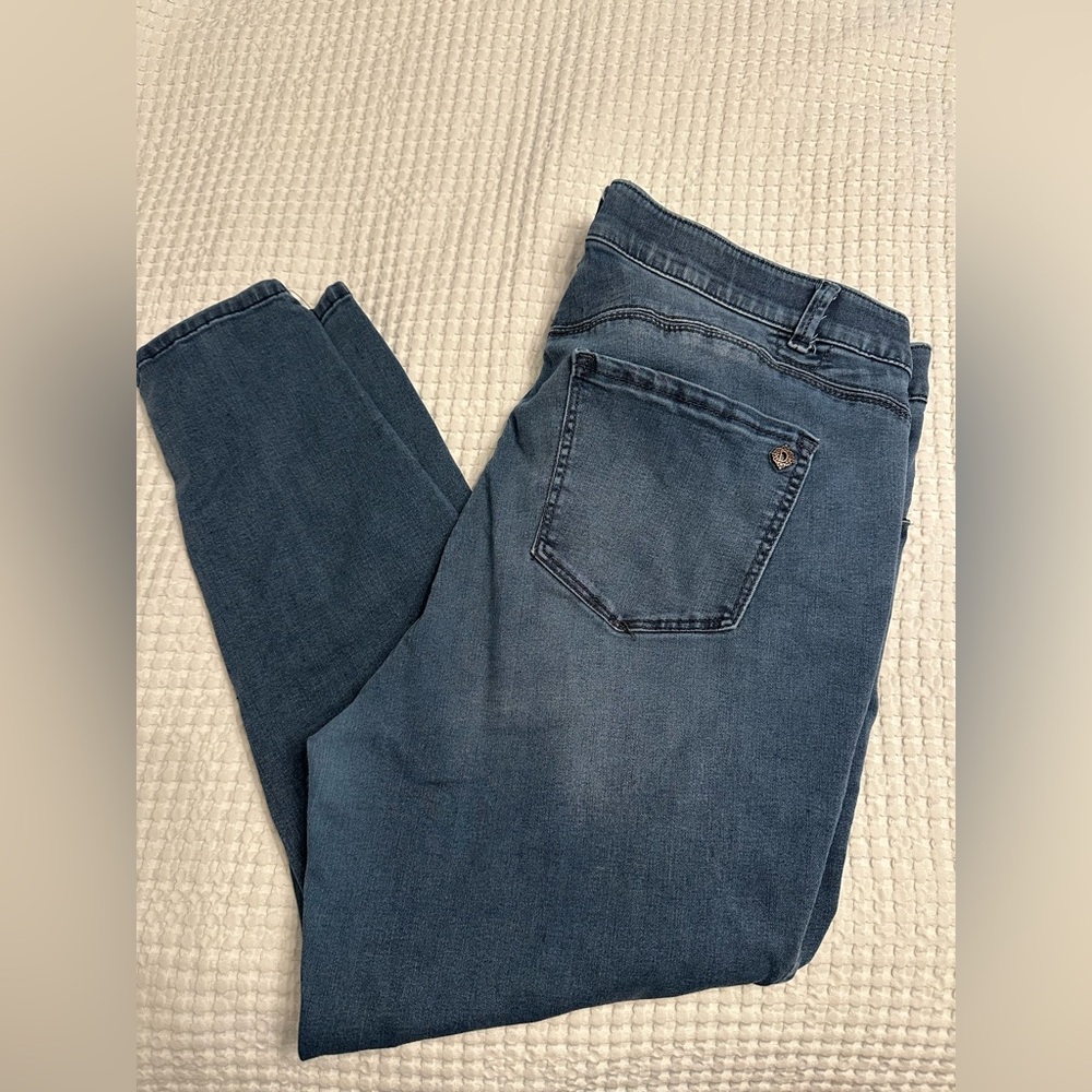 Democracy Indigo Denim Jeans